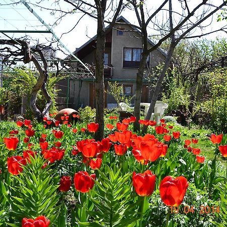 Milorava'S Guest House & Wine Cellar Telavi Esterno foto